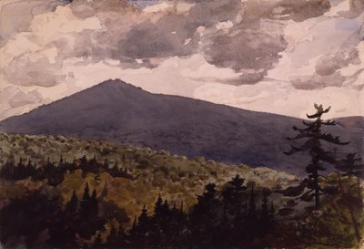 Burnt Mountain by Winslow Homer